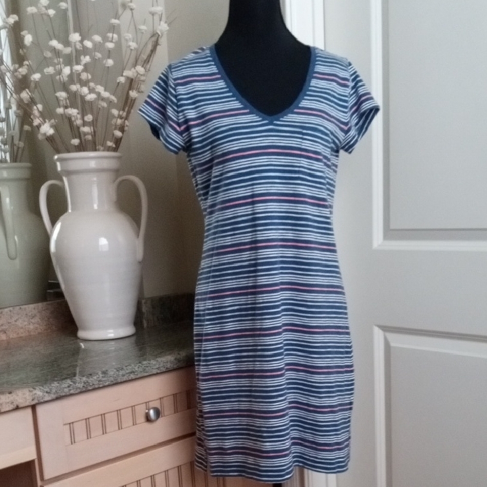 GAP Blue and White Striped V-Neck Dress